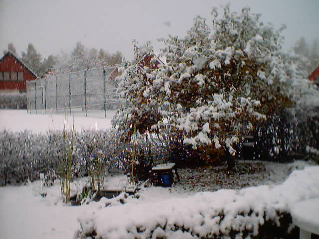 Sweden, October 21 2003