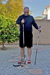 Nordic Walking poles and cat