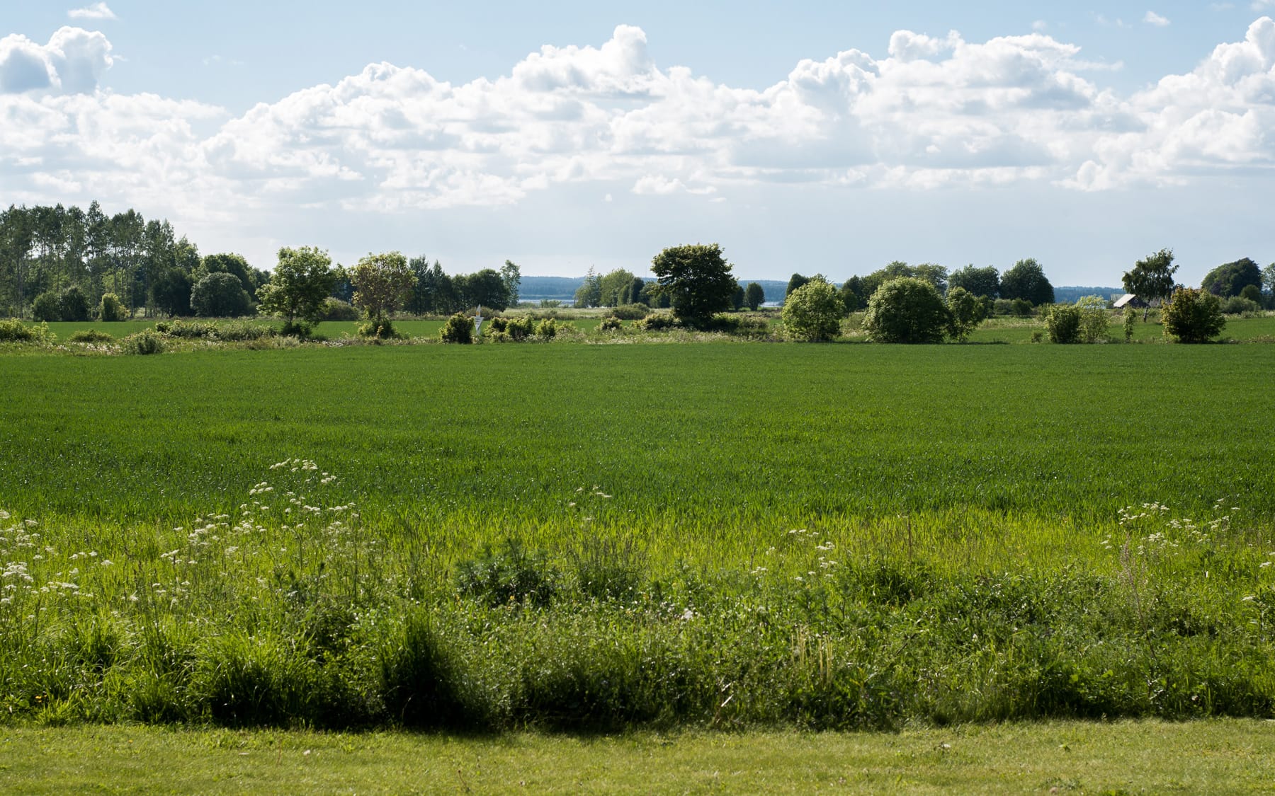 Sweden sure is pretty on a sunny summer day.