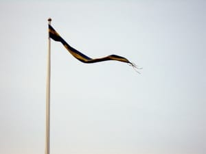 Swedish Pennant